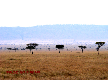 Mara West. Kenya, septiembre 2007